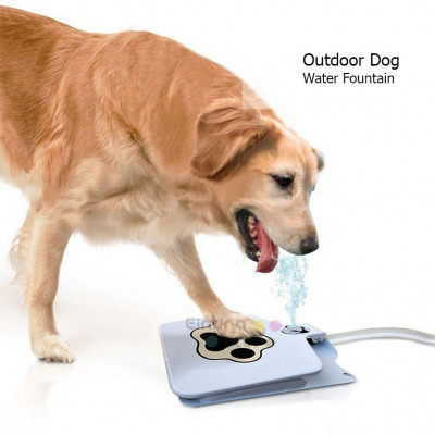 Outdoor Dog - Water Fountain
